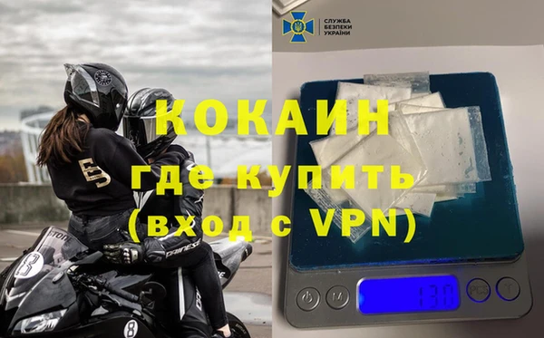 шишки Козельск